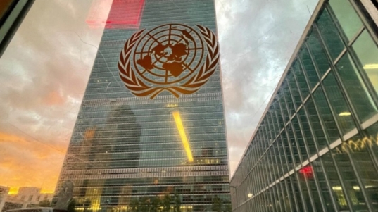 onu (2)