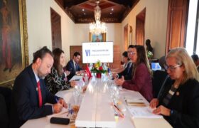 Gobierno venezolano y Türkiye realizan VI Mecanismo de Consultas Políticas