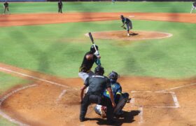 Leones del Caracas y la Selección de Brión dividieron honores en la emocionante Serie de Higuerote