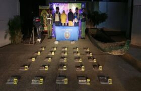 Desmantelan operación de tráfico de drogas en el estado Apure