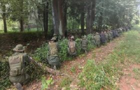 Apure activa ODDI con Operación Independencia 200