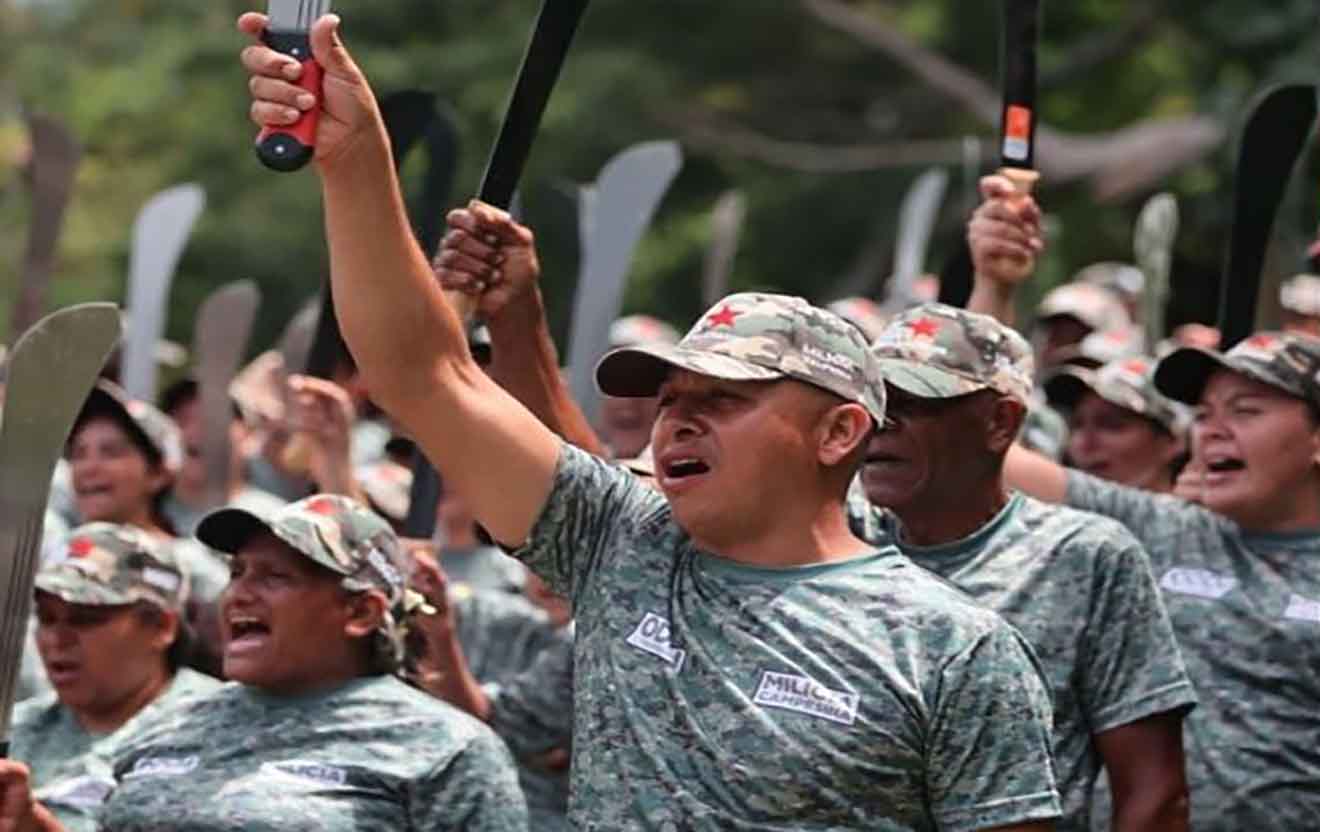 Brigada Campesina