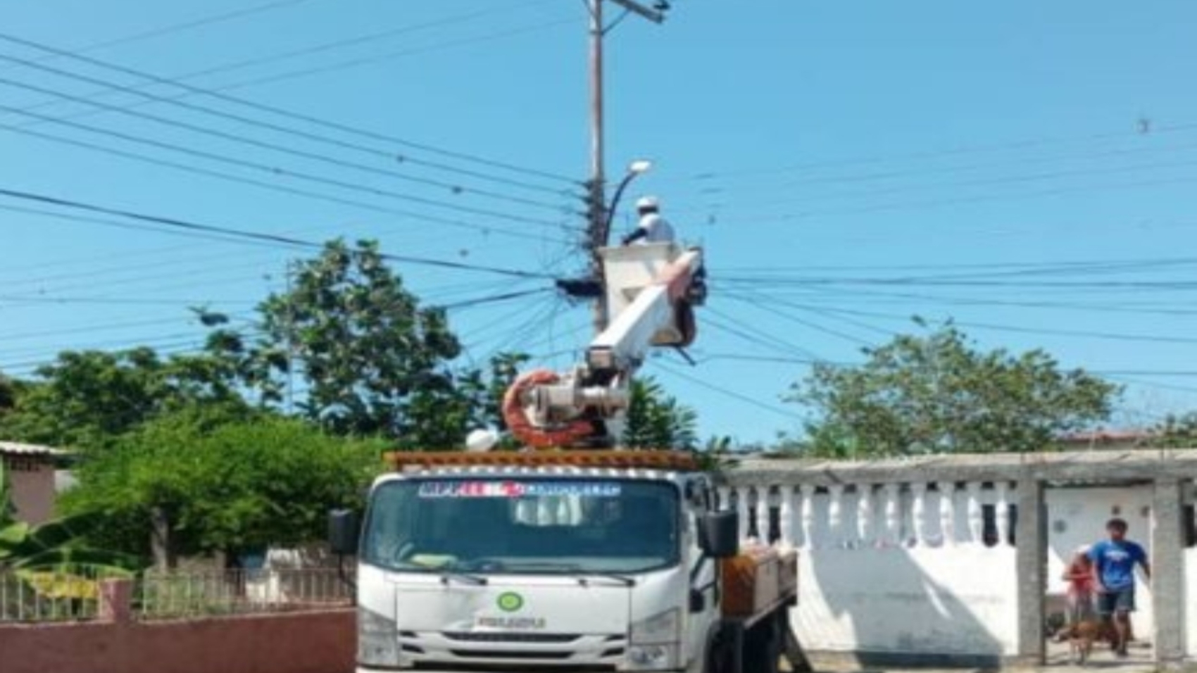 Carrizal (1)