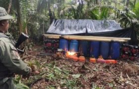 FANB destruye campamentos ilícitos en Amazonas y Zulia