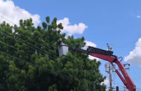 Más de 30 circuitos eléctricos de Falcón atendidos con control de vegetación