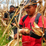 Guárico (3)