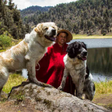 Los perros MucuchíeS