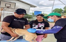 Jornada veterinaria integral impulsa la protección animal en Mérida