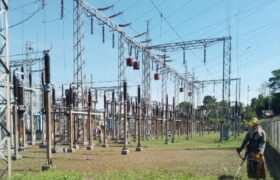Desmalezamiento en subestaciones fortalece servicio eléctrico para más de 150 mil tachirenses