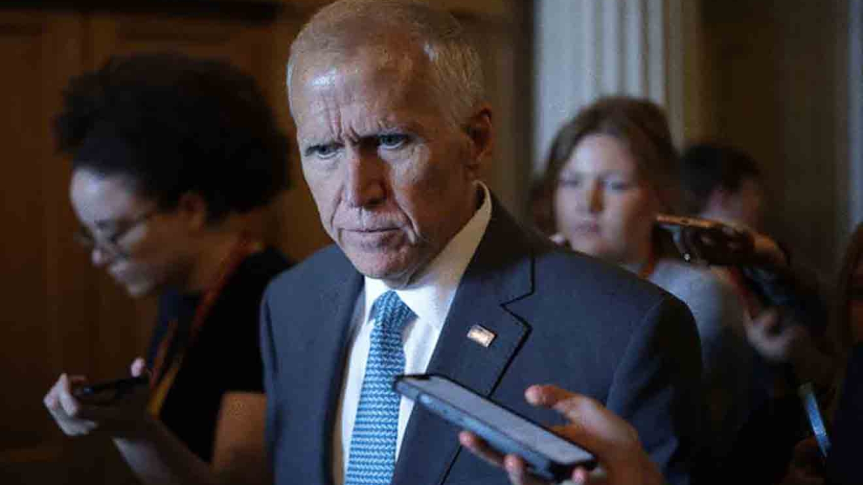 Thom-Tillis-1