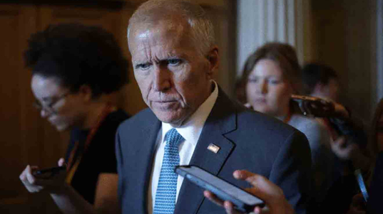 Thom-Tillis-1