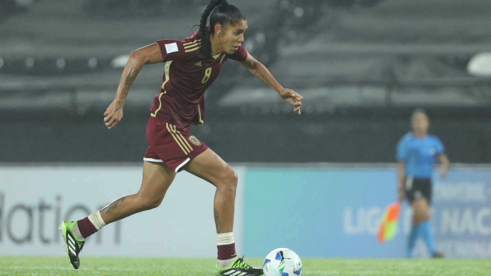 Vinotinto-3