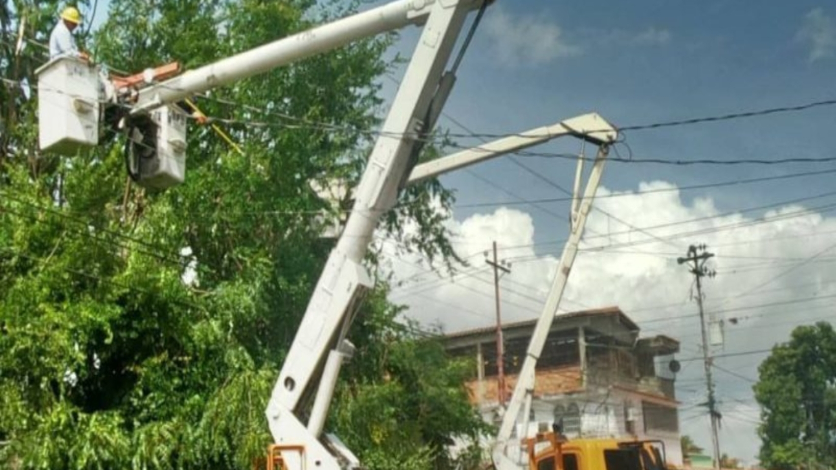 Zulia