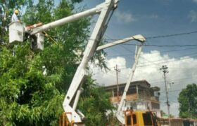 Corpoelec avanza en el control de vegetación en 198 circuitos de distribución de Zulia