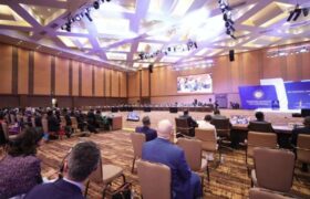 Venezuela participa en la 19° Cumbre Intermedia de la Mnoal