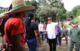 #23Nov: Próximas Consultas Populares para la elección de proyectos comunales