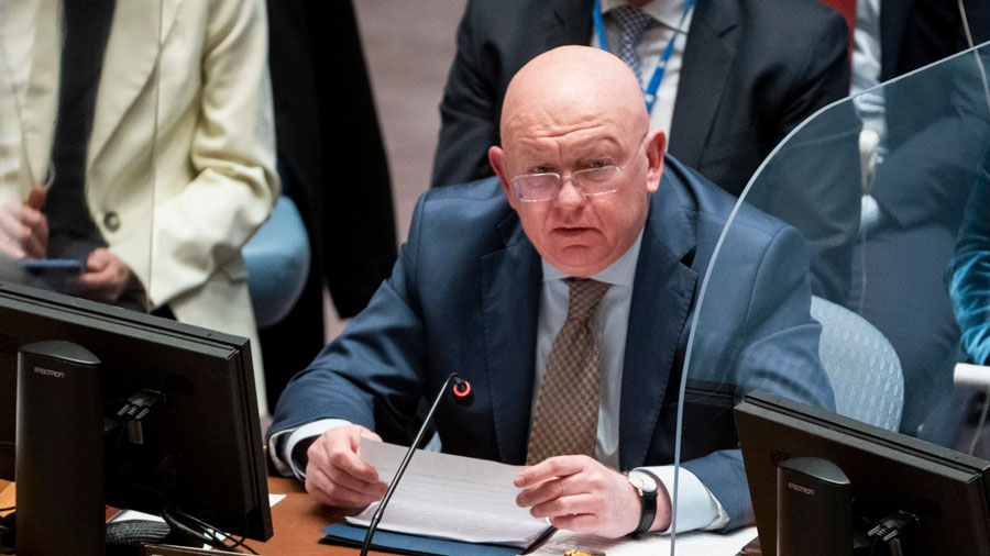 vasili-nebenzia-49528