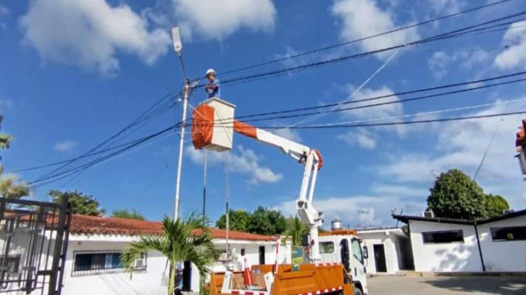 zulia (1)