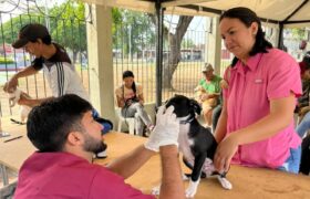 Jornada de Misión Nevado atiende animales de compañía en Anzoátegui