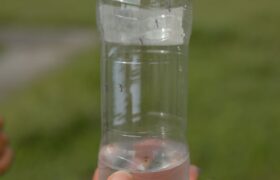 ABAE cuenta con tecnología satelital para prevenir y controlar patrones de distribución del dengue