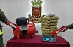 FANB incautó más de 15 kilos de marihuana en Lara