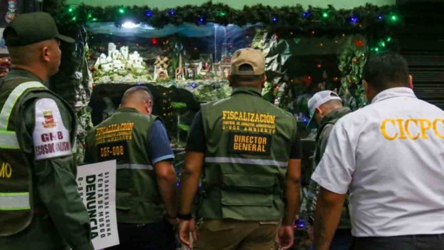 Más de 3 mil funcionarios desplegados operativo nacional contra extracción de musgo en temporada navideña