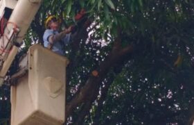 Atención de 665 casos del 1×10 del Buen Gobierno fortalece servicio eléctrico en Táchira