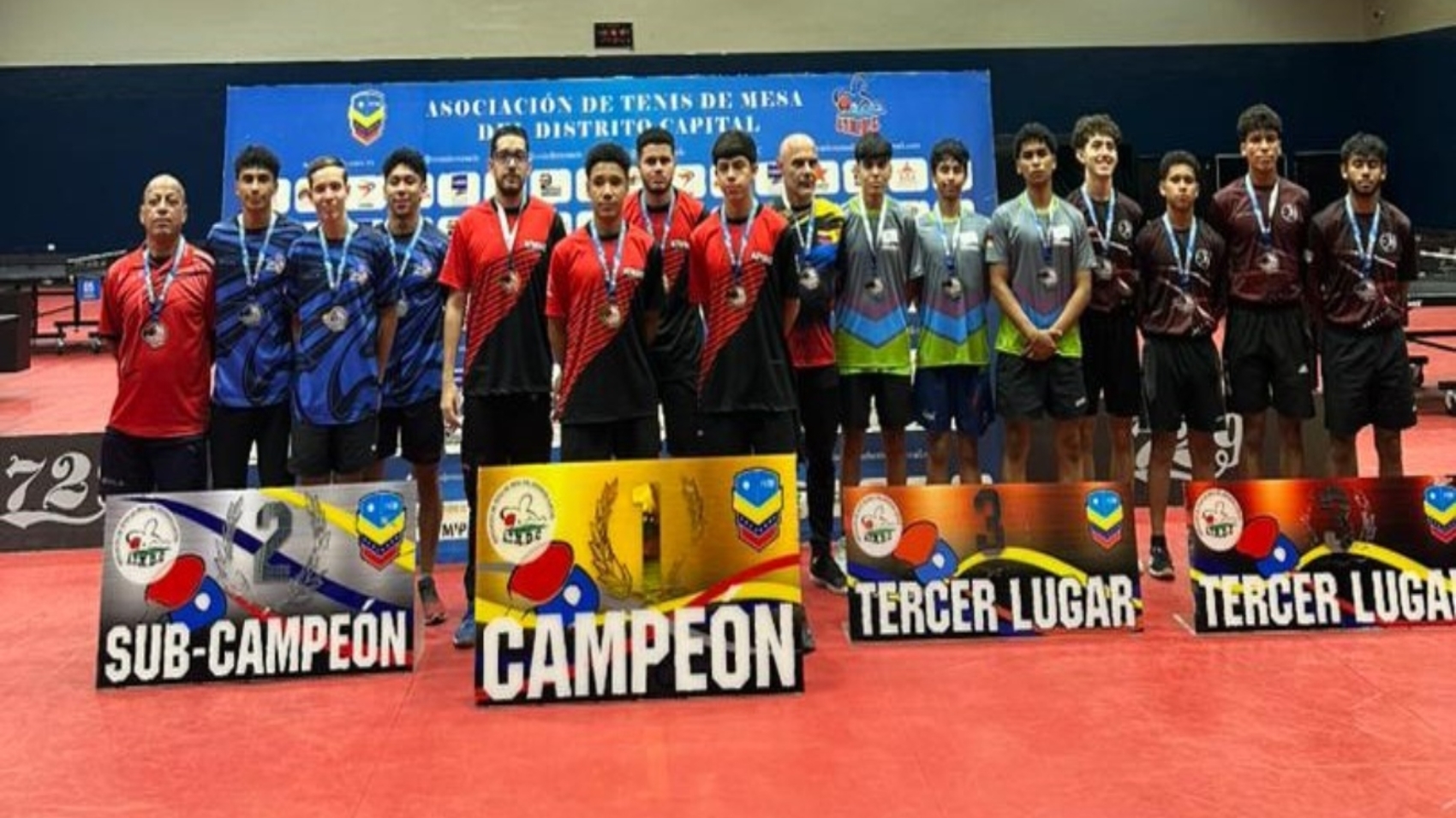 Tenis de mesa