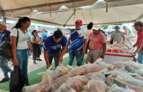Más de 33 mil familias de Cojedes fueron favorecidas con Ferias del Campo Soberano