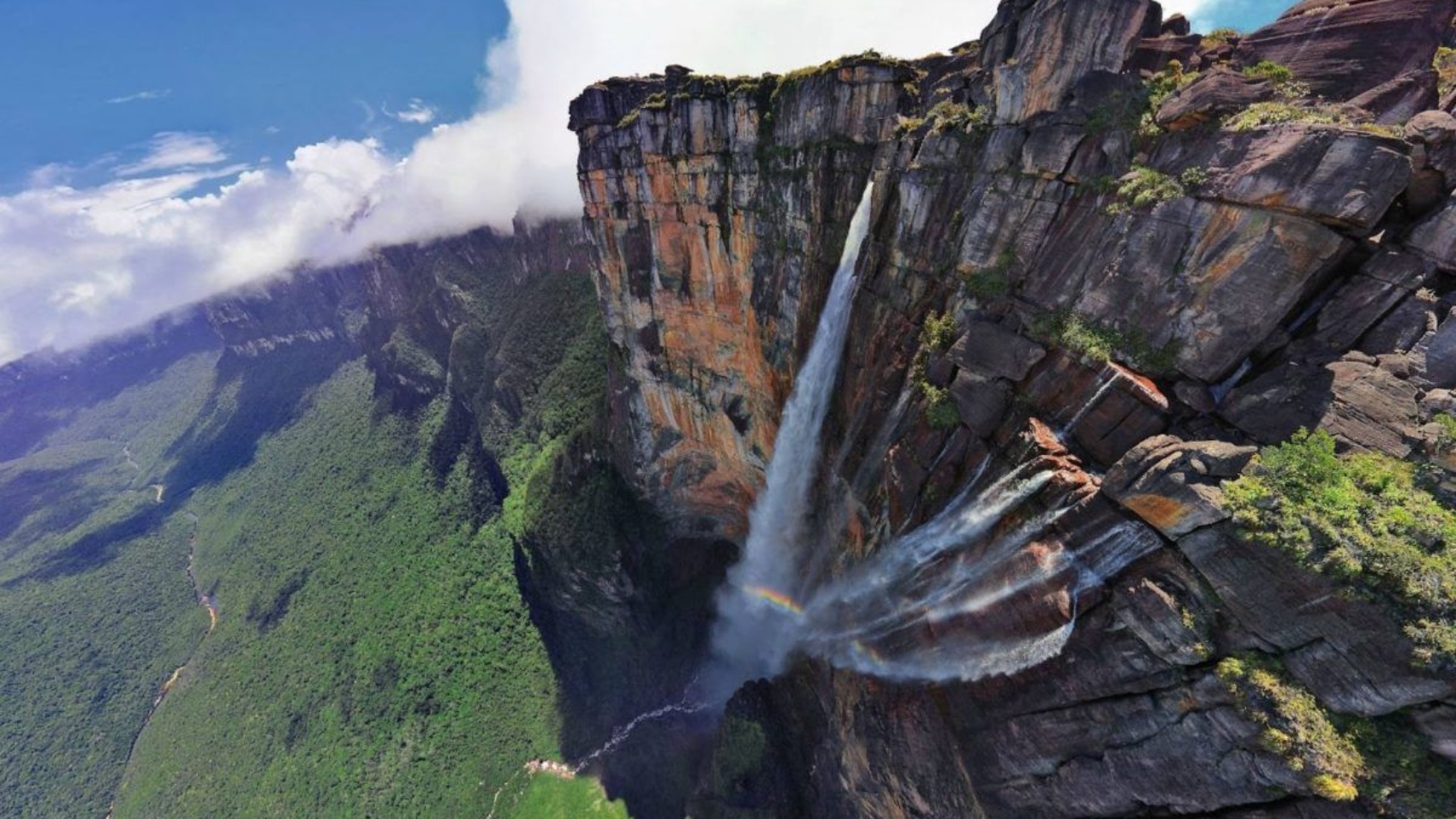 haiman-el-troudi-diversidad-patrimonio-natural-de-venezuela