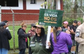 Activan operativo nacional para evitar extracción y comercialización del musgo