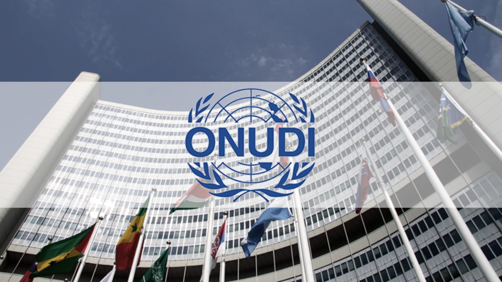 onudi-portada (1)