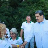 photo_4929225015643802495_y