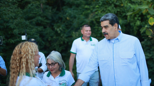 photo_4929225015643802495_y