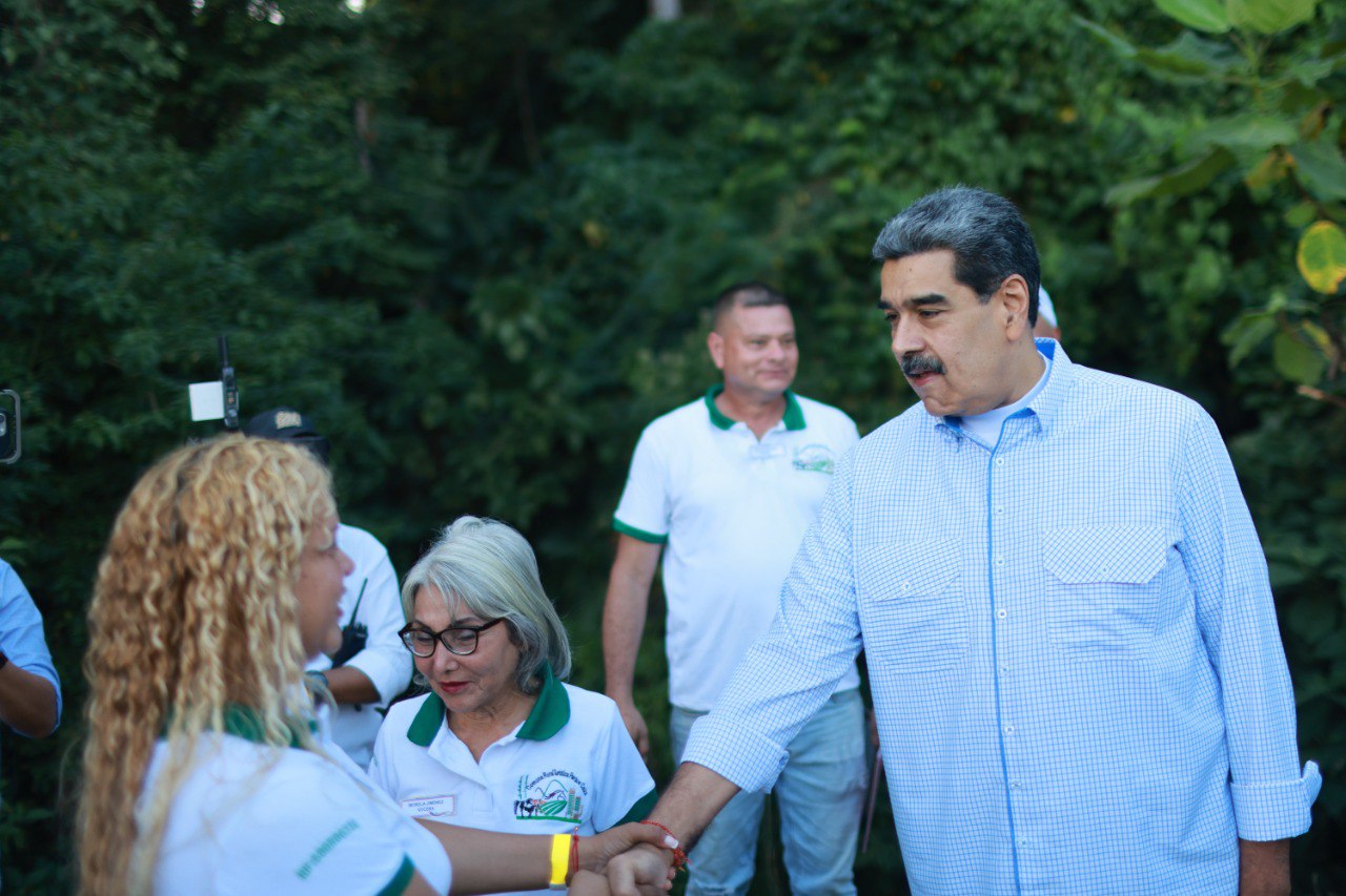 photo_4929225015643802495_y