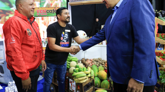 01_ZC__1008_P-1536x1232