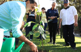 Anuncian plan de formación para multiplicar a los viveristas del país