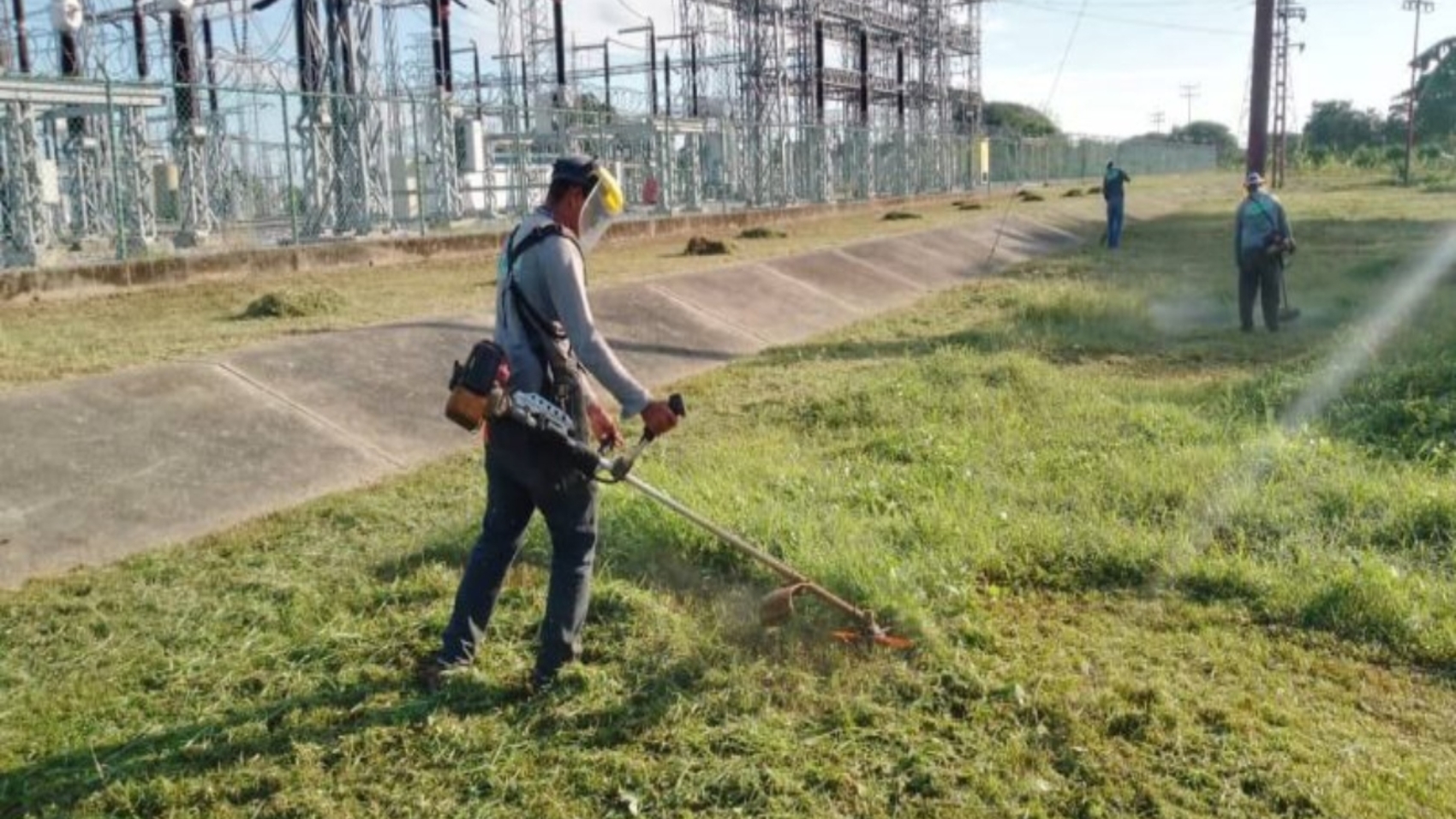 Apure (6)