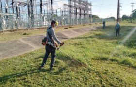 Control de vegetación fortalece suministro eléctrico a 340 mil personas de Apure