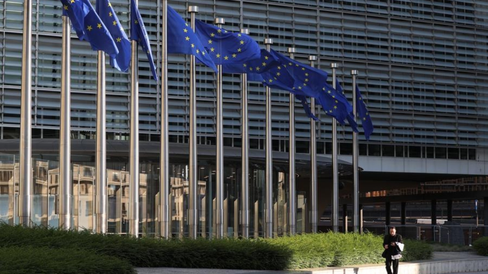 EU (1)