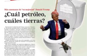 La Artillería N° 738