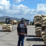 Lara exporta a Estados Unidos 161 toneladas de café verde