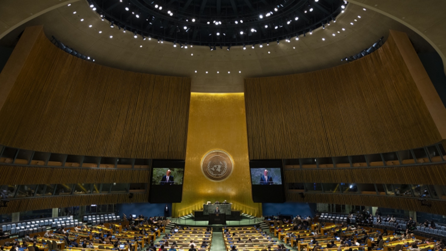 ONU (5)
