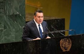 Moncada ante la ONU: La inmunidad del presidente Maduro y la primera combatiente es una garantía institucional