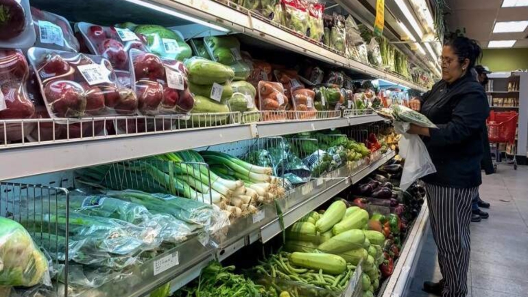 alimentos
