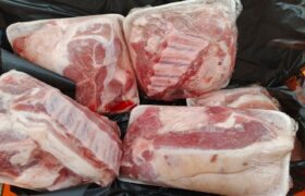 Distribuidas más de 20 toneladas de cerdo en 15 Comunas del municipio Ature en Amazonass