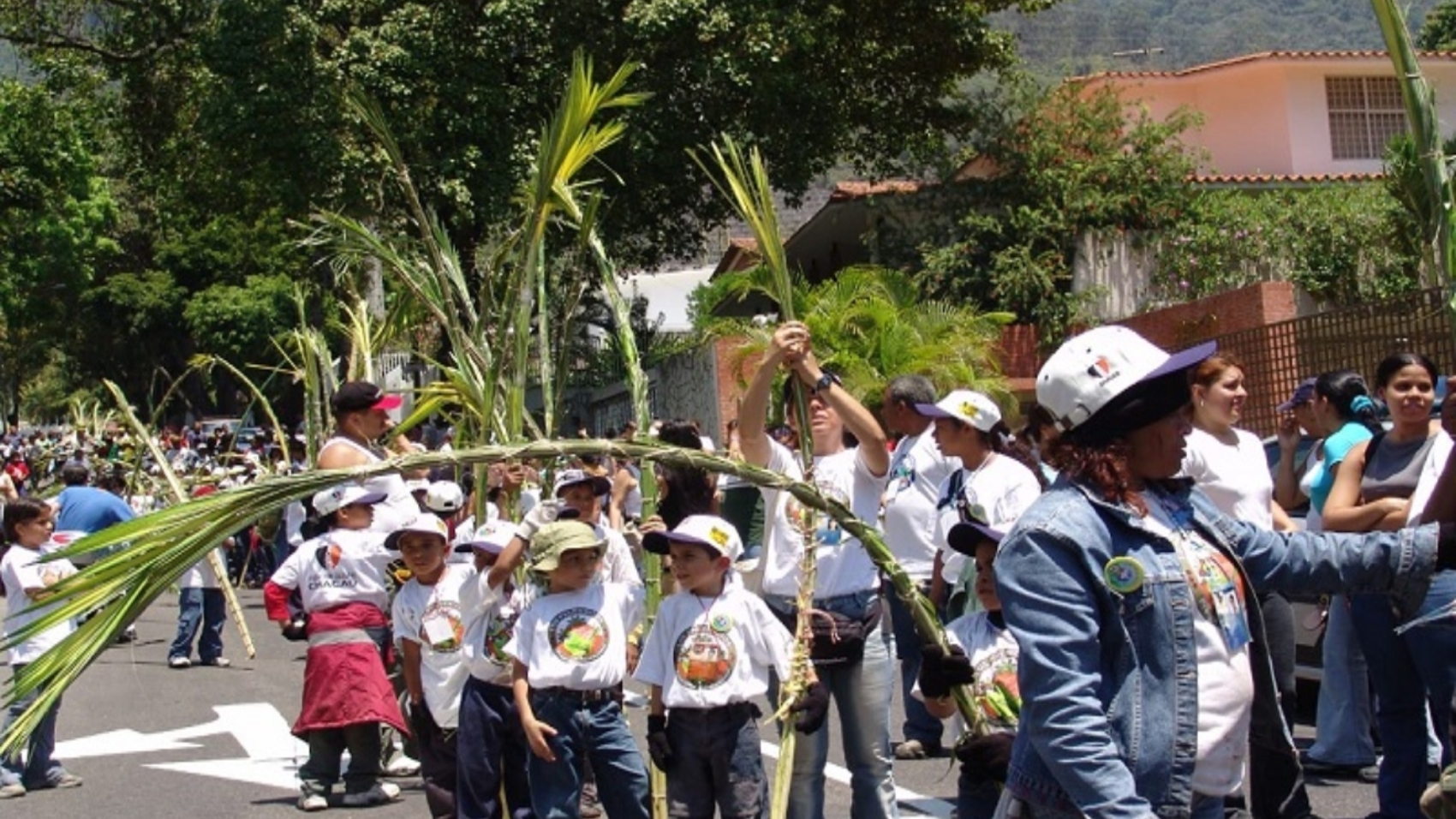 palmeritos