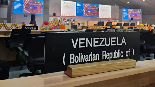 photo_5026138719295048515_y-1-1-1