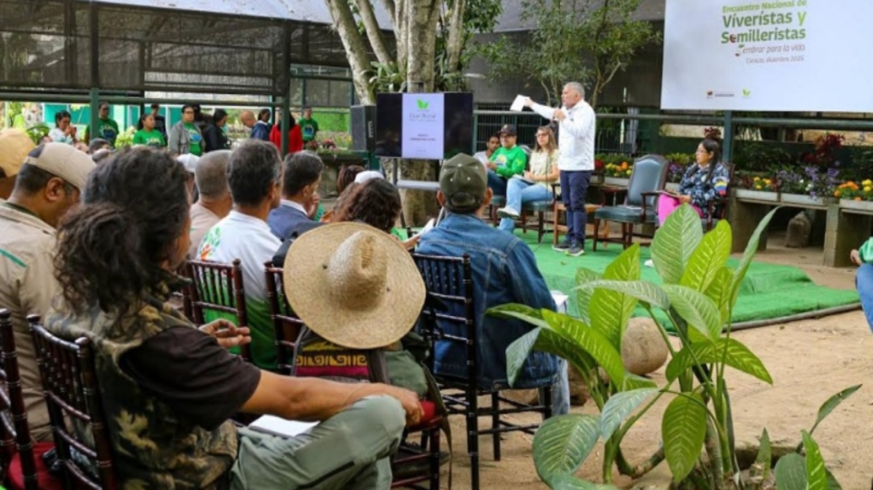 reforestación (2)