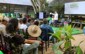 Minec: Reforestan más de cuatro millones 800 mil plantas en zonas vulnerables del país